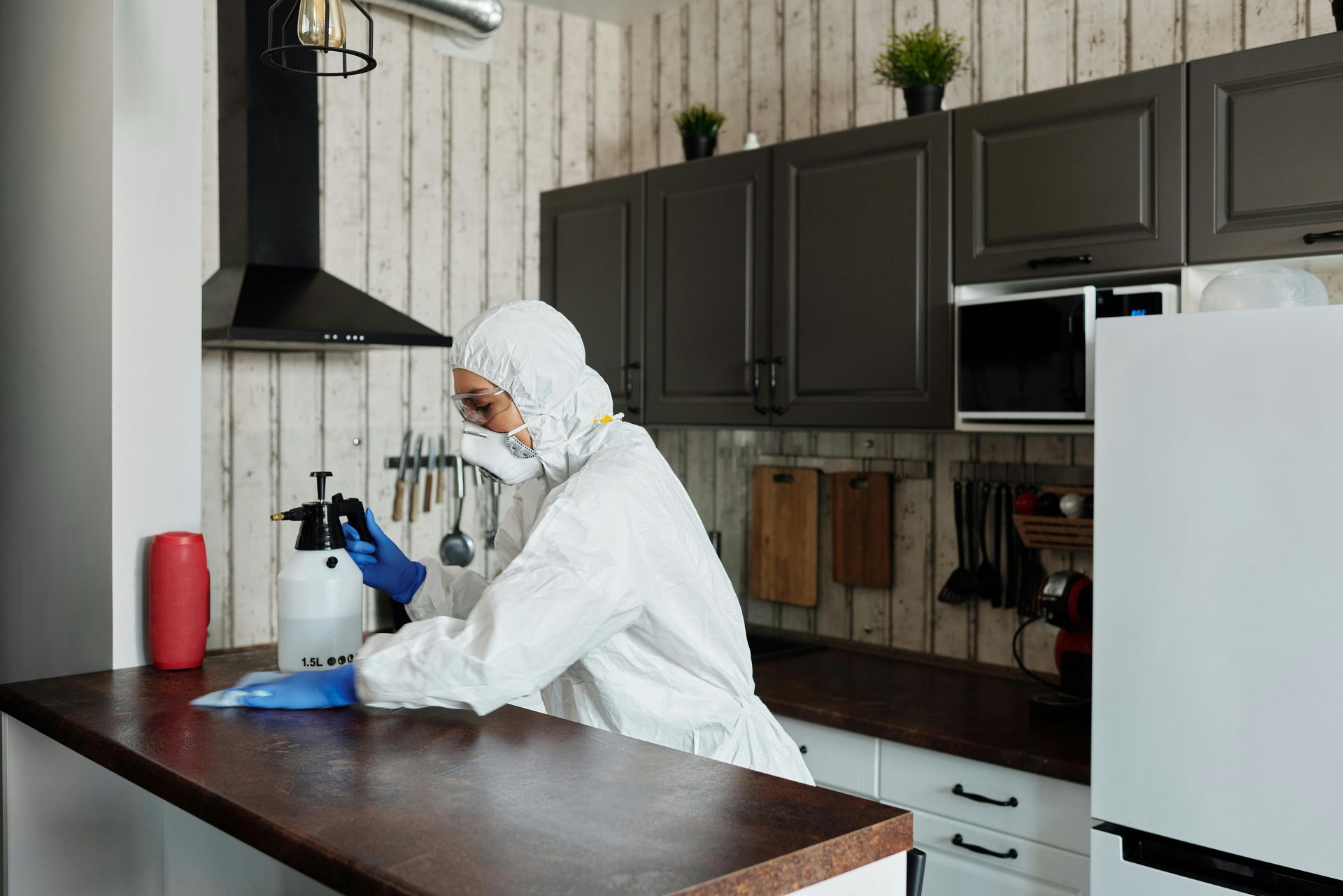 Eco Pest Control cockroach treatment in Gauteng kitchen