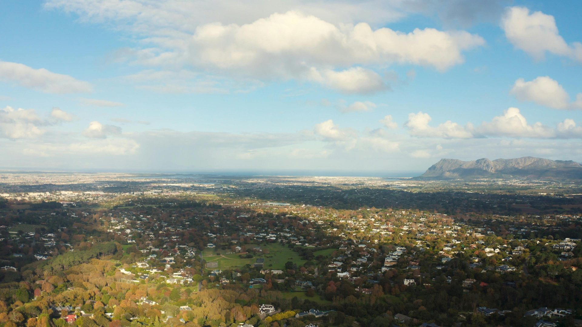 Pest control Constantia