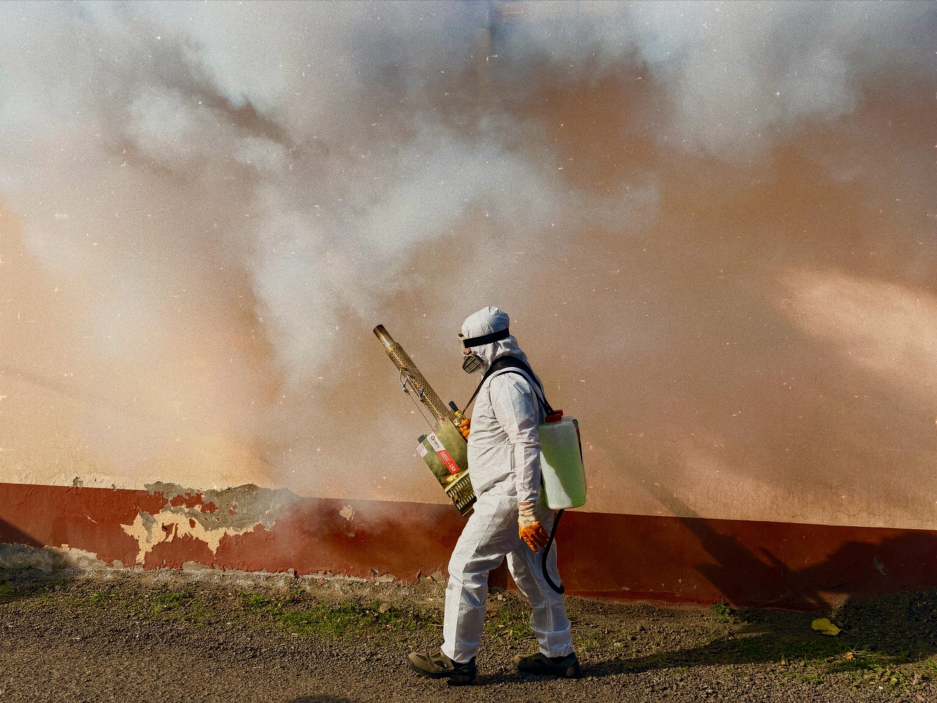 Mosquito control fogging treatment in Gauteng garden