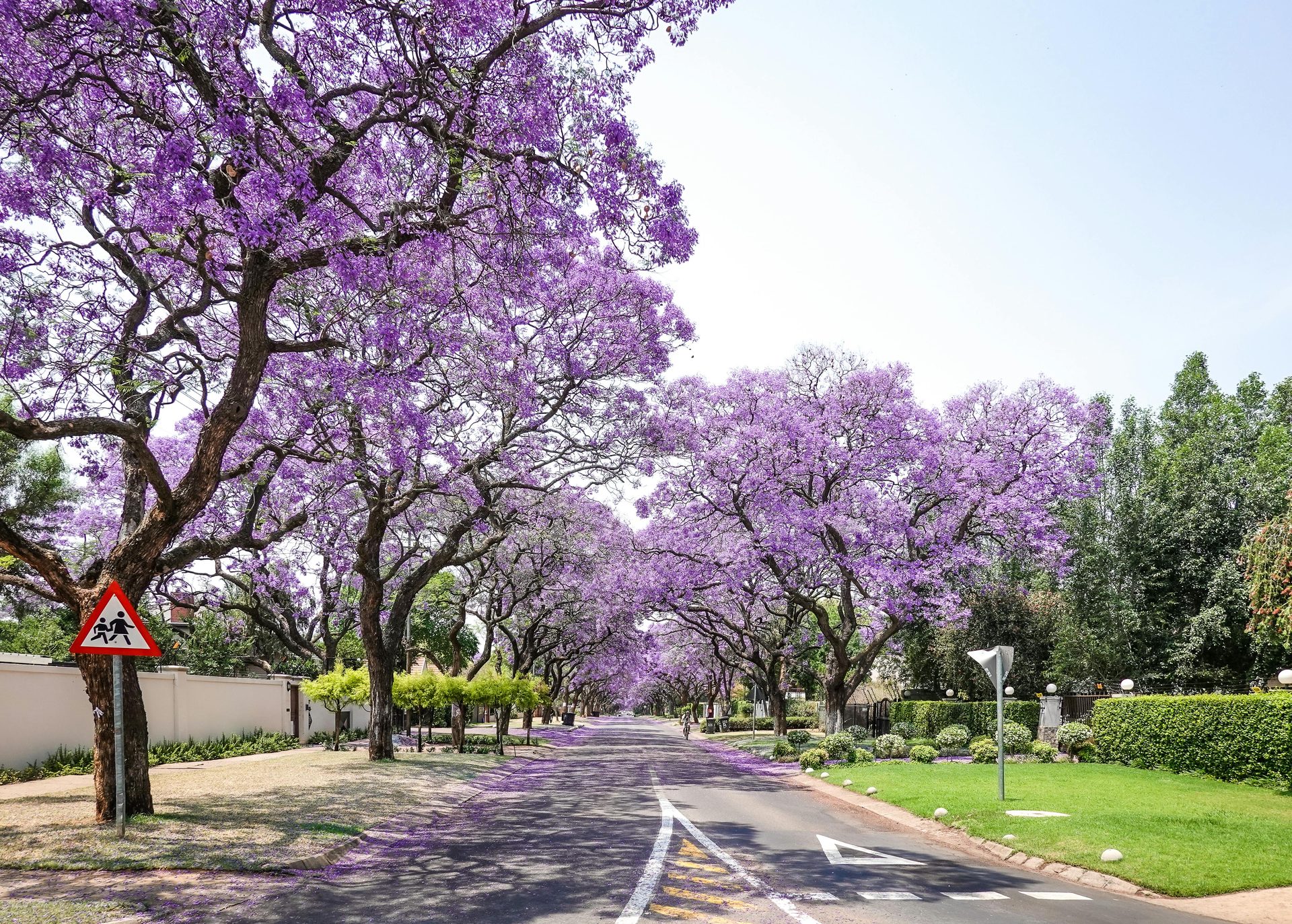 Eco Pest Control technician in Pretoria