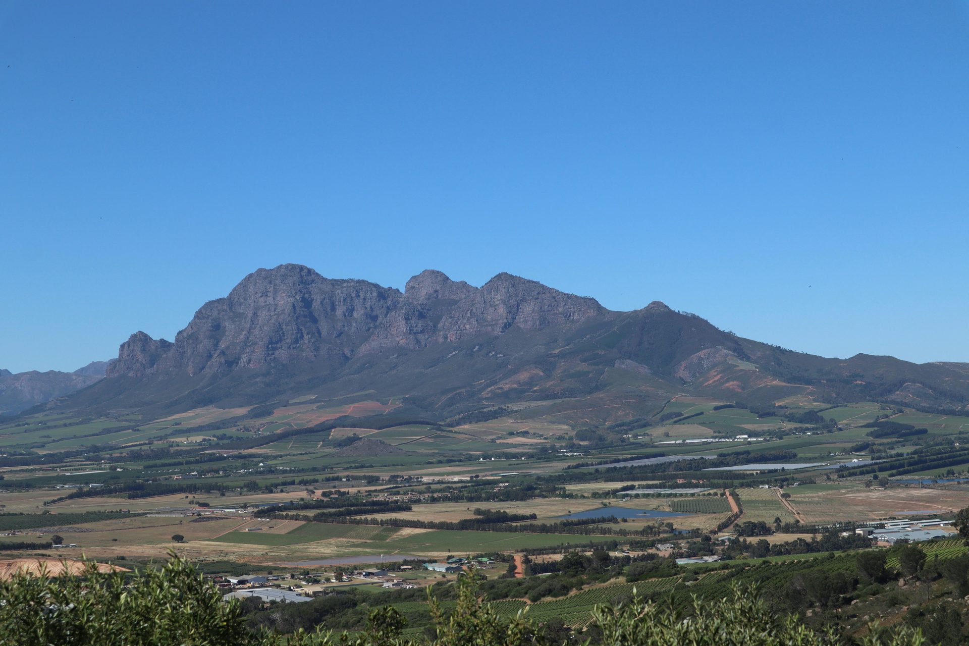 Pest control Stellenbosch