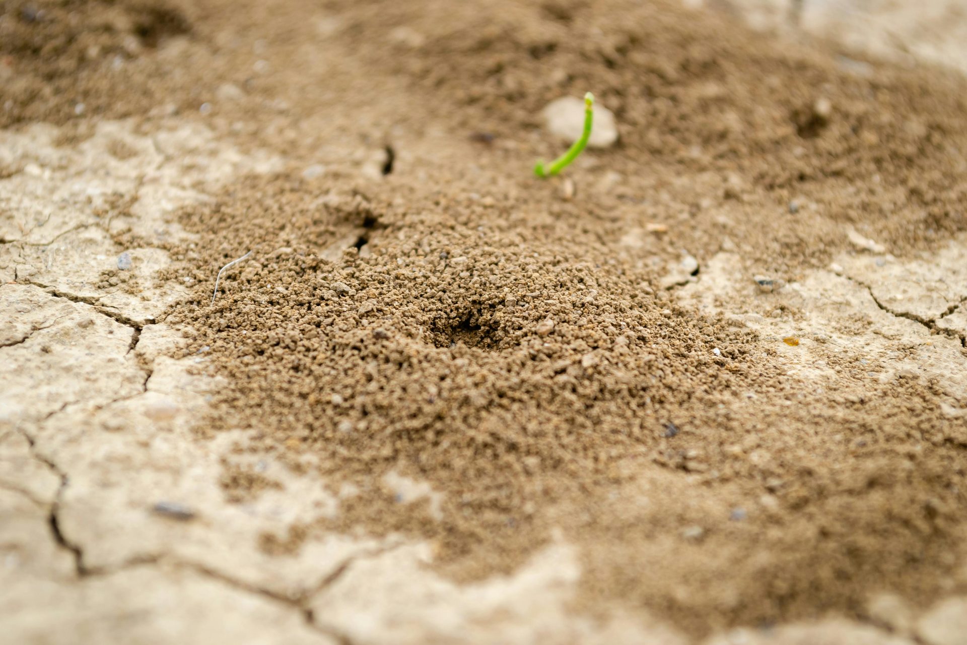 Termite treatment being applied to Gauteng home