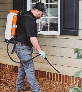 eco-pestcontrol.co.za